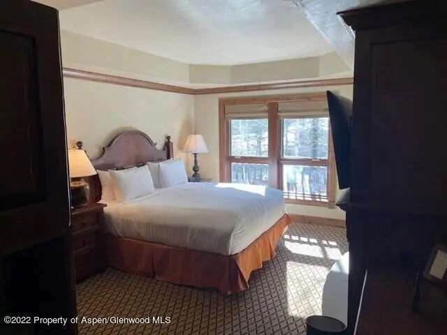 8 of 11 - 415 E Dean Street 29 & 30, Aspen, CO
