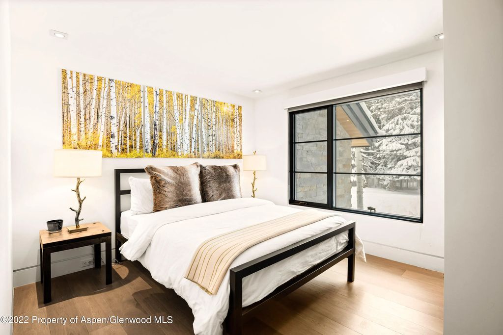 6 of 21 - 503 N Fourth Street, Aspen, CO