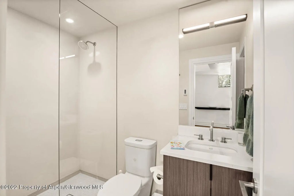 18 of 20 - 155 Lone Pine/ River Bluff #c2, Aspen, CO
