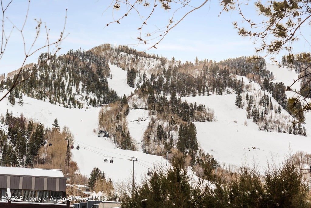 37 of 37 - 704 E Cooper Avenue Unit 3, Aspen, CO