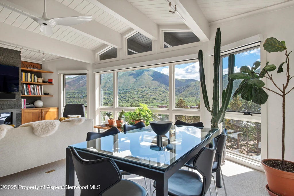 13 of 34 - 809 S Aspen Street 17, Aspen, CO