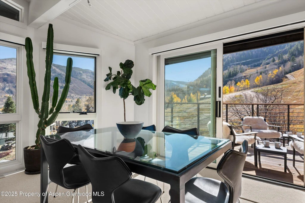 14 of 34 - 809 S Aspen Street 17, Aspen, CO