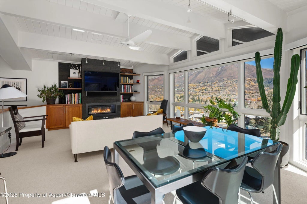 15 of 34 - 809 S Aspen Street 17, Aspen, CO