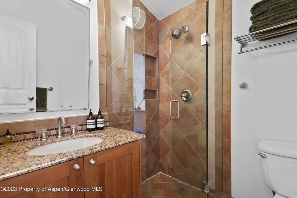 22 of 34 - 809 S Aspen Street 17, Aspen, CO