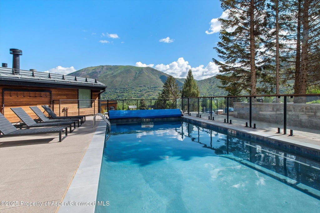 25 of 34 - 809 S Aspen Street 17, Aspen, CO