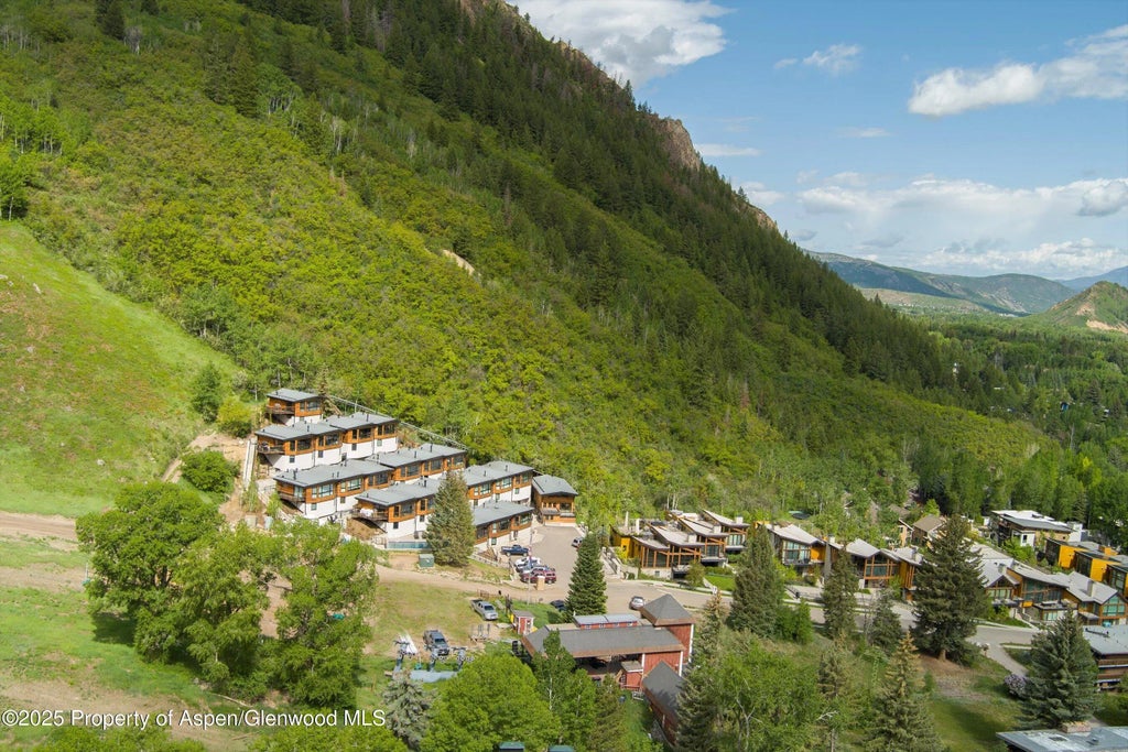 29 of 34 - 809 S Aspen Street 17, Aspen, CO