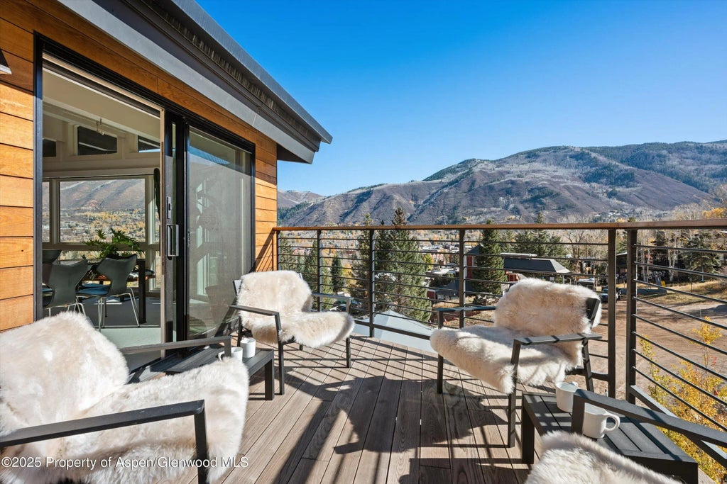 33 of 34 - 809 S Aspen Street 17, Aspen, CO