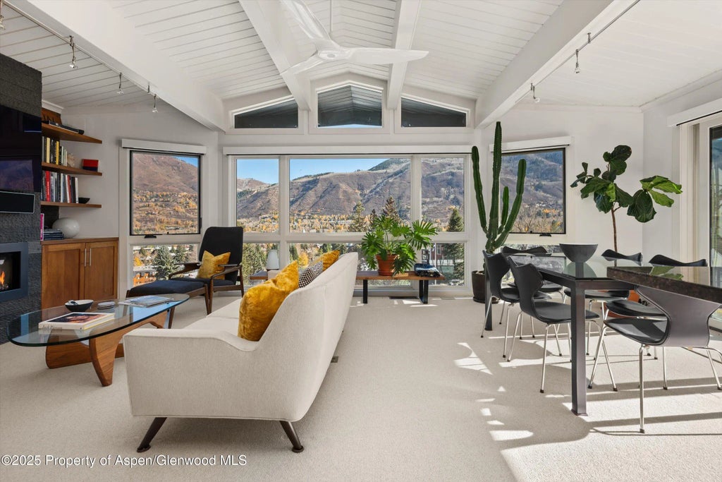 6 of 34 - 809 S Aspen Street 17, Aspen, CO