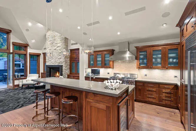 17 of 43 - 719 E Hopkins Avenue 202, Aspen, CO