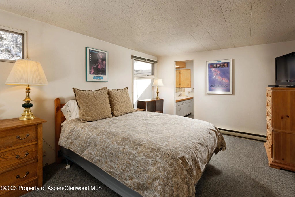 14 of 22 - 1501 Maroon Creek Road #5, Aspen, CO