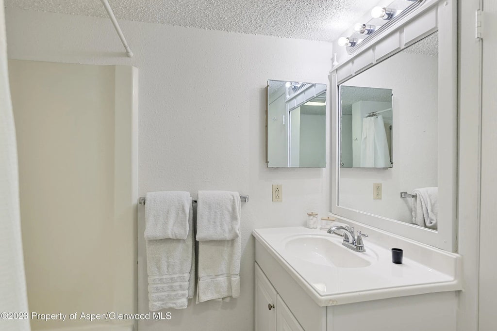 8 of 10 - 424 Park Circle Unit B, Aspen, CO