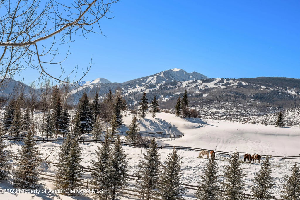 36 of 54 - 75 Mclain Court, Aspen, CO