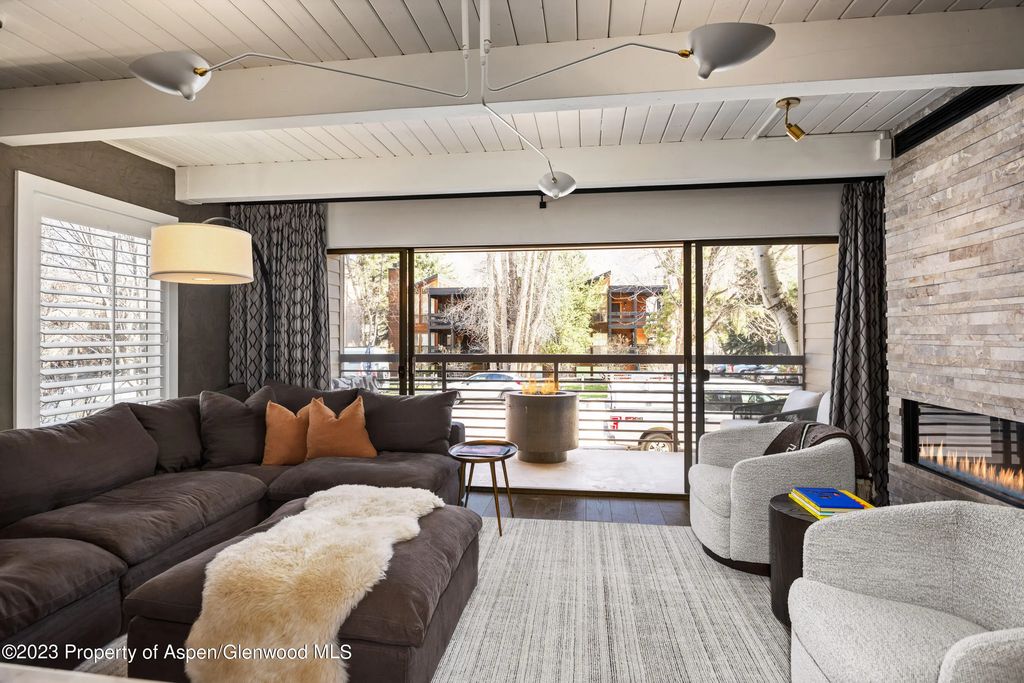825 E Hopkins Avenue Unit 2n, Aspen