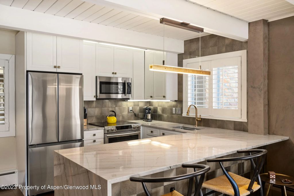 11 of 22 - 825 E Hopkins Avenue Unit 2n, Aspen, CO