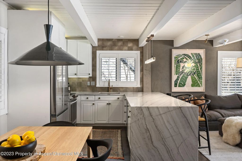 12 of 22 - 825 E Hopkins Avenue Unit 2n, Aspen, CO