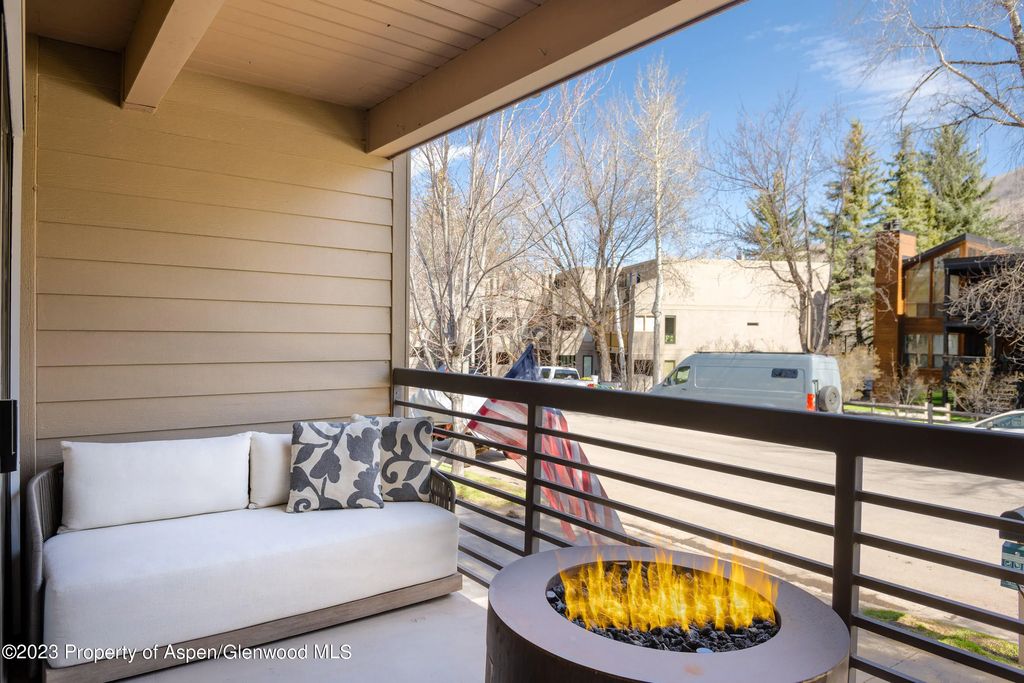 8 of 22 - 825 E Hopkins Avenue Unit 2n, Aspen, CO