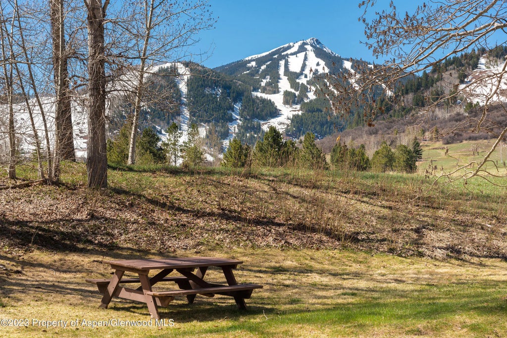 26 of 28 - 39060 Highway 82 #a6, Aspen, CO