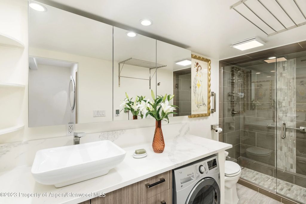 4 of 6 - 601 S West End Street 1, Aspen, CO