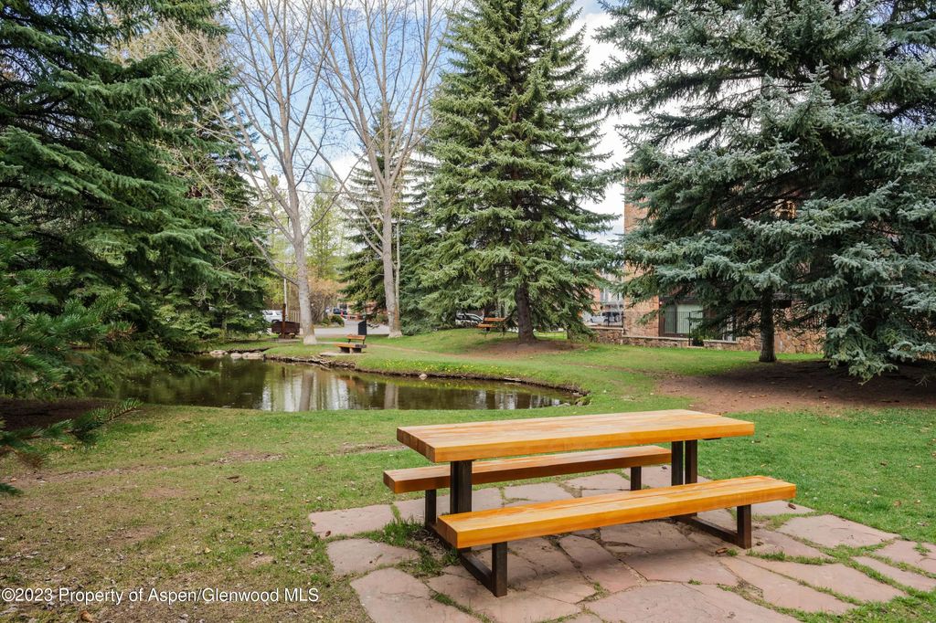 5 of 6 - 601 S West End Street 1, Aspen, CO