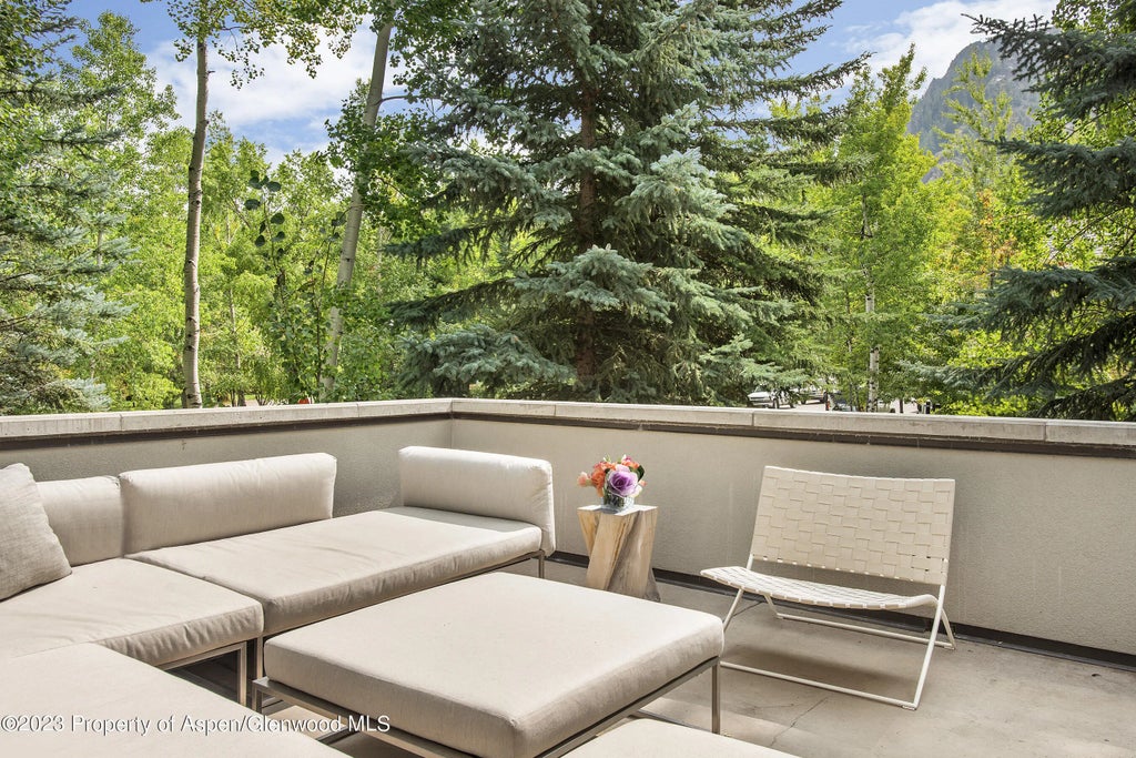 14 of 30 - 307 N Sixth Street, Aspen, CO