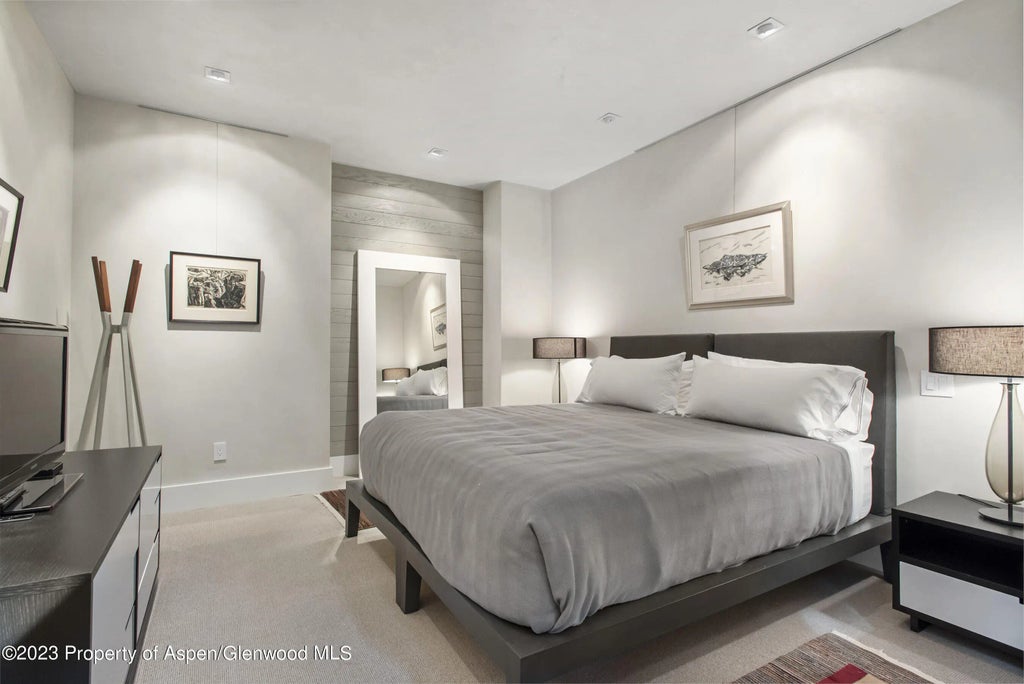 22 of 30 - 307 N Sixth Street, Aspen, CO