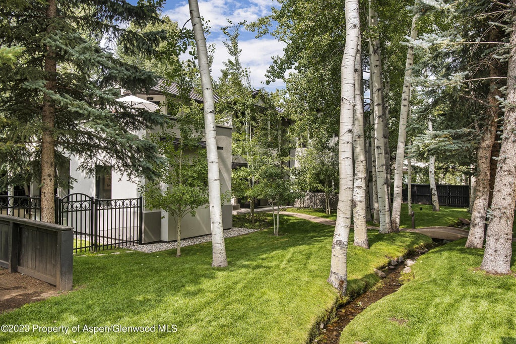 27 of 30 - 307 N Sixth Street, Aspen, CO