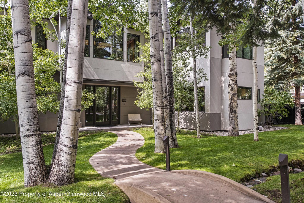 29 of 30 - 307 N Sixth Street, Aspen, CO