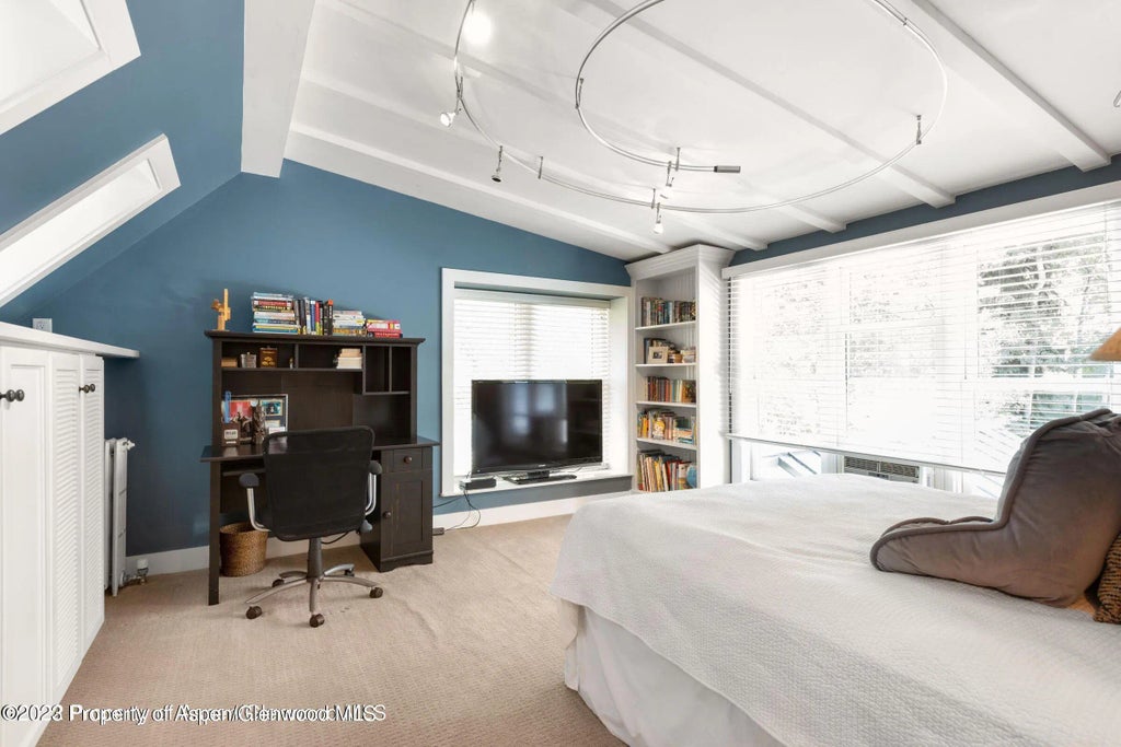 31 of 44 - 710 N 3rd Street, Aspen, CO