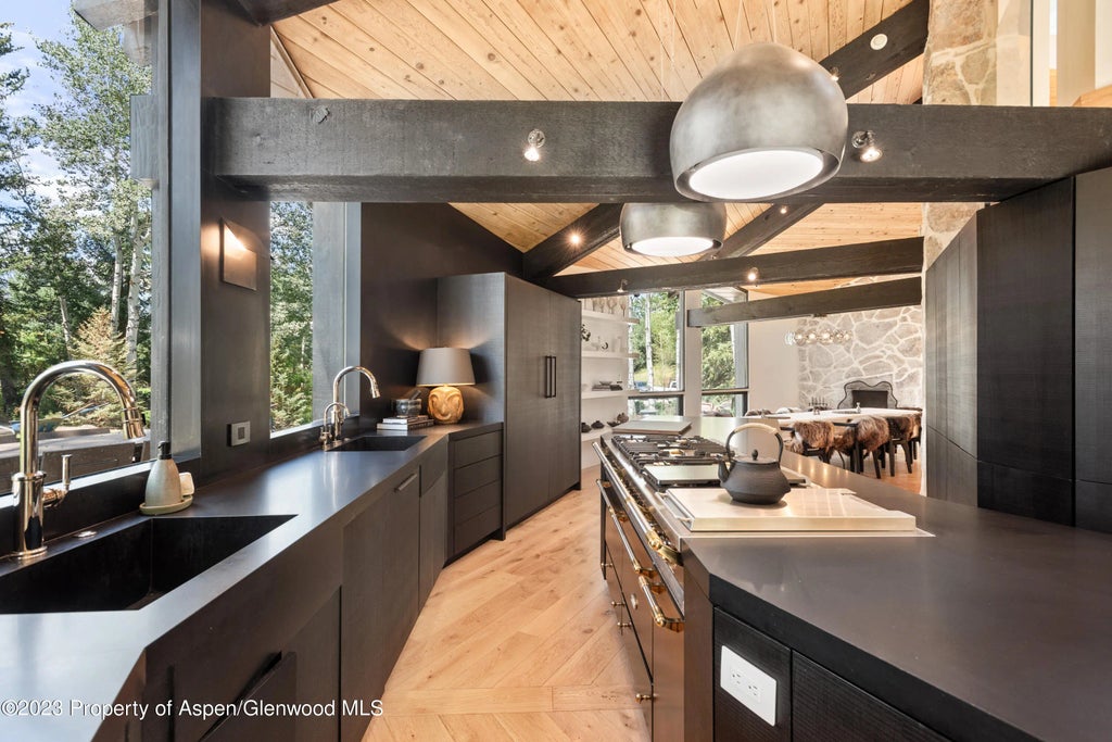 14 of 43 - 763 Willoughby Way, Aspen, CO