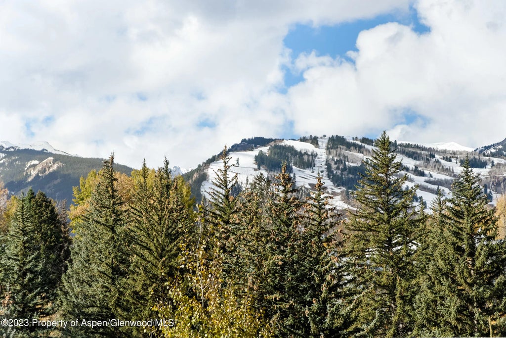 31 of 33 - 58 Pitkin Way, Aspen, CO