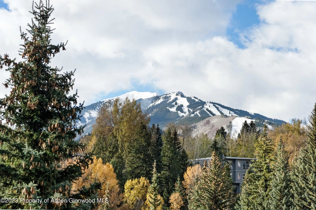 32 of 33 - 58 Pitkin Way, Aspen, CO