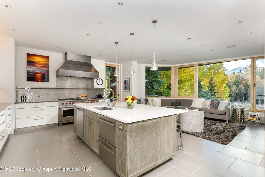 8 of 33 - 58 Pitkin Way, Aspen, CO