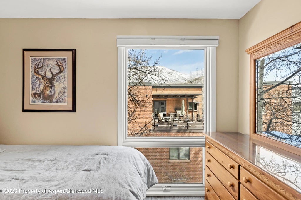 6 of 17 - 600 E Main Street #310, Aspen, CO