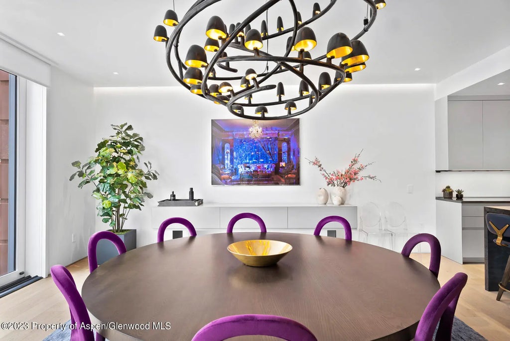 19 of 58 - 508 E Cooper Avenue 201, Aspen, CO