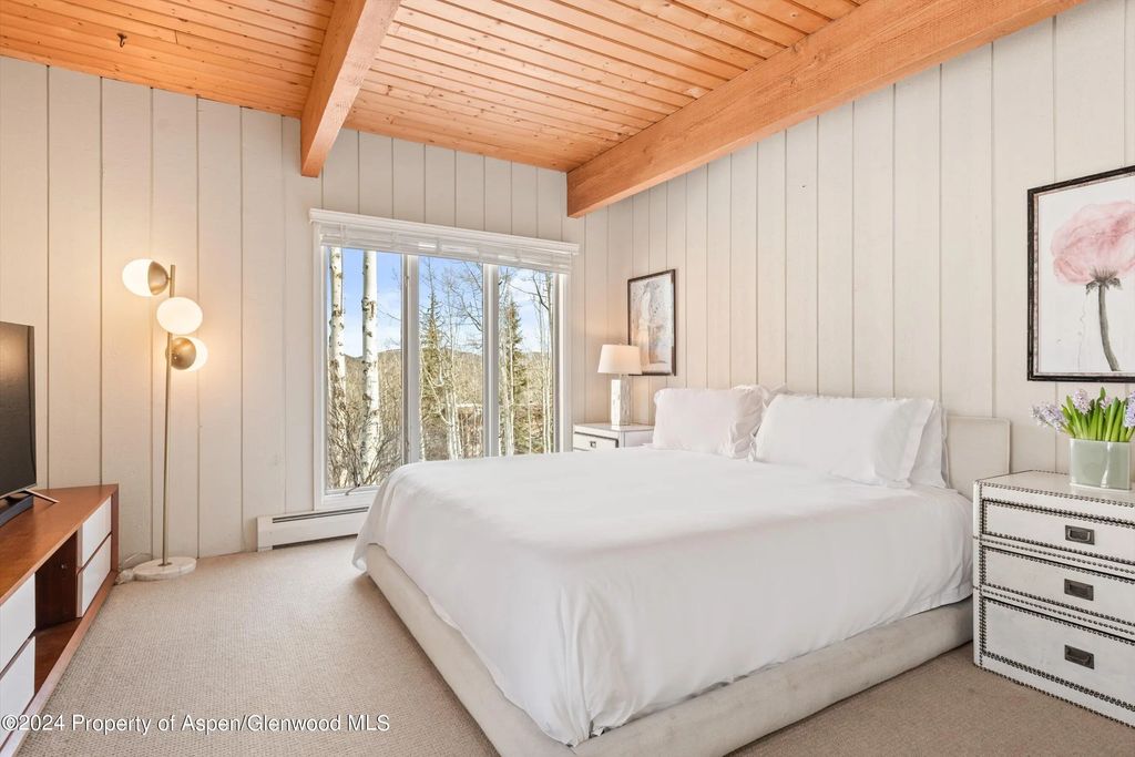 12 of 25 - 49 Elk Ridge Lane, Snowmass Village, CO