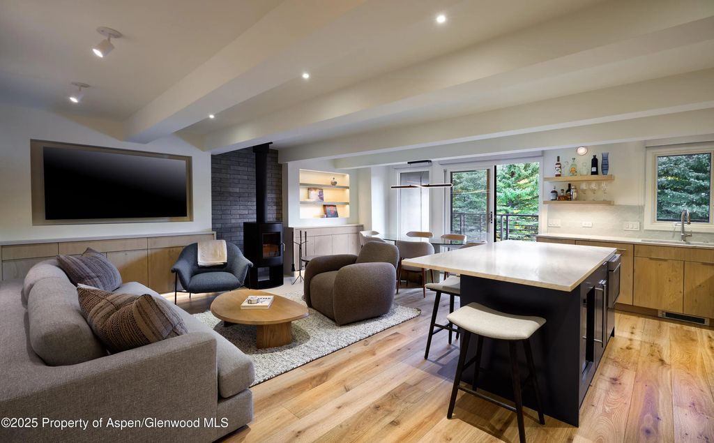 1039 E Cooper Avenue 14a, Aspen