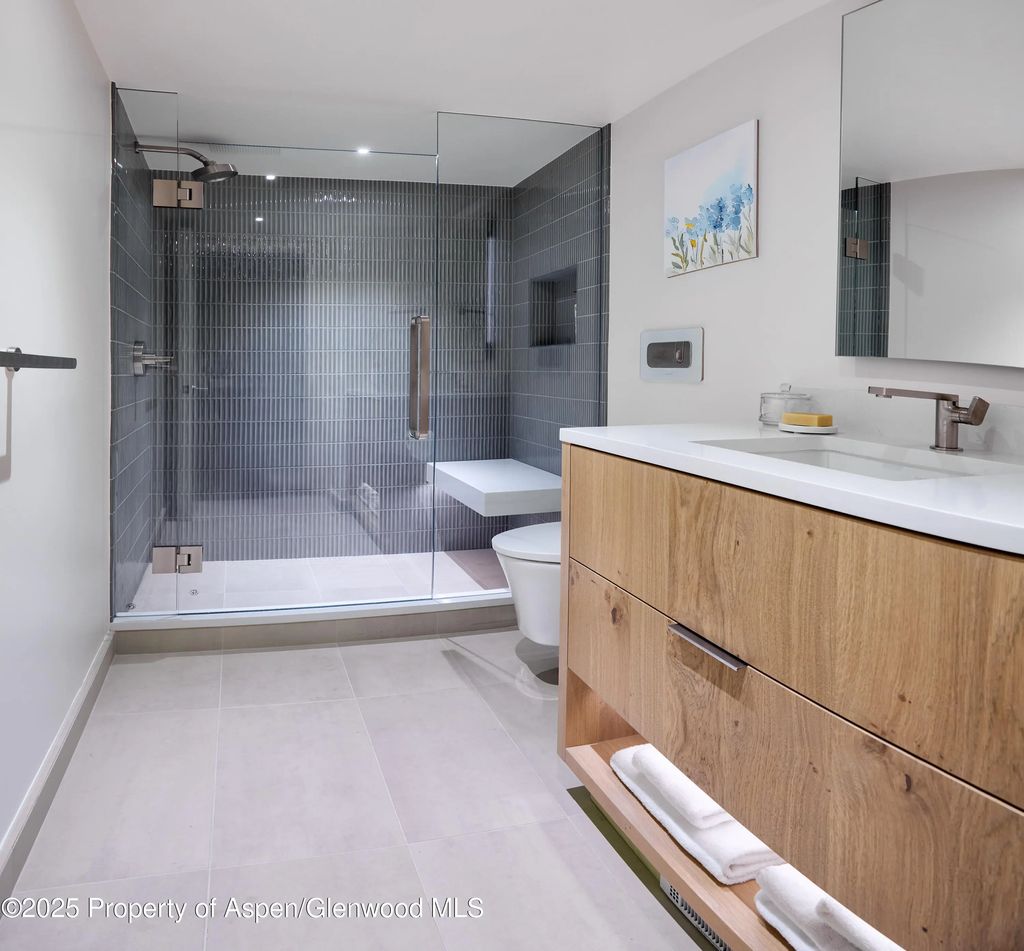 15 of 21 - 1039 E Cooper Avenue 14a, Aspen, CO