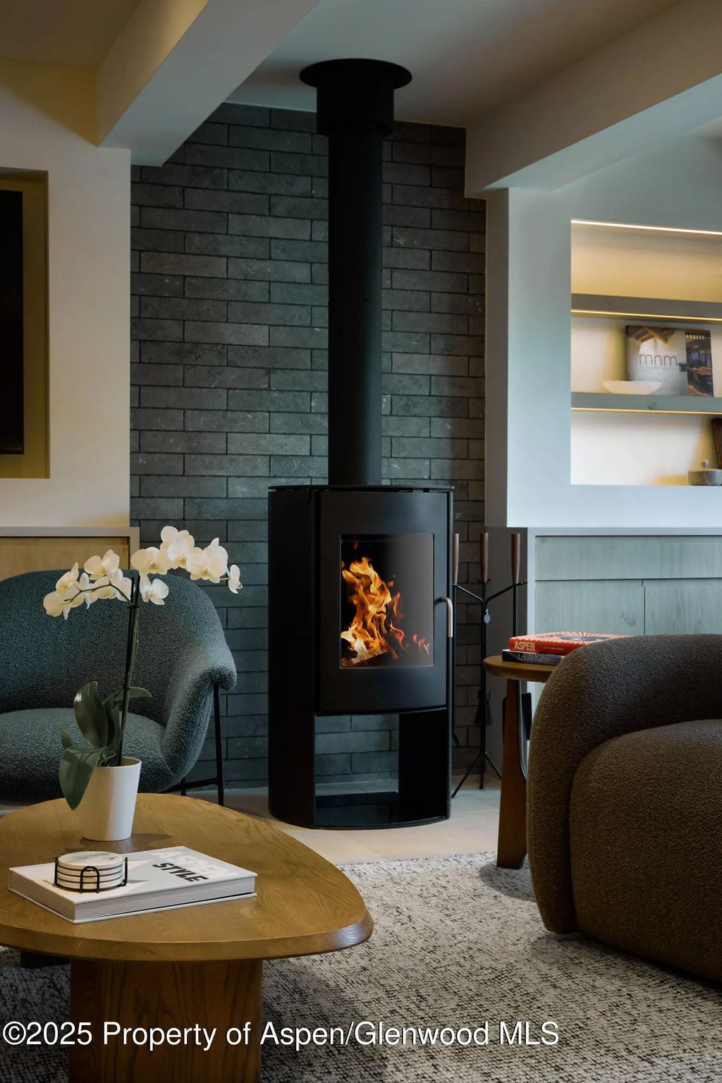 5 of 21 - 1039 E Cooper Avenue 14a, Aspen, CO