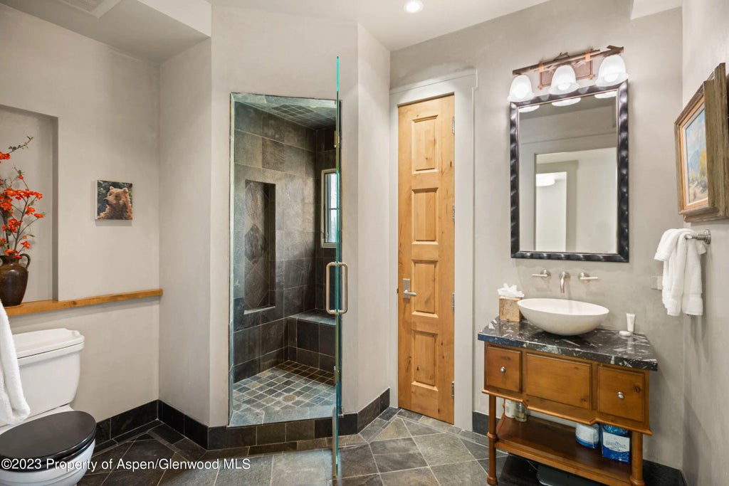 14 of 27 - 101 N Spring Street 302, Aspen, CO