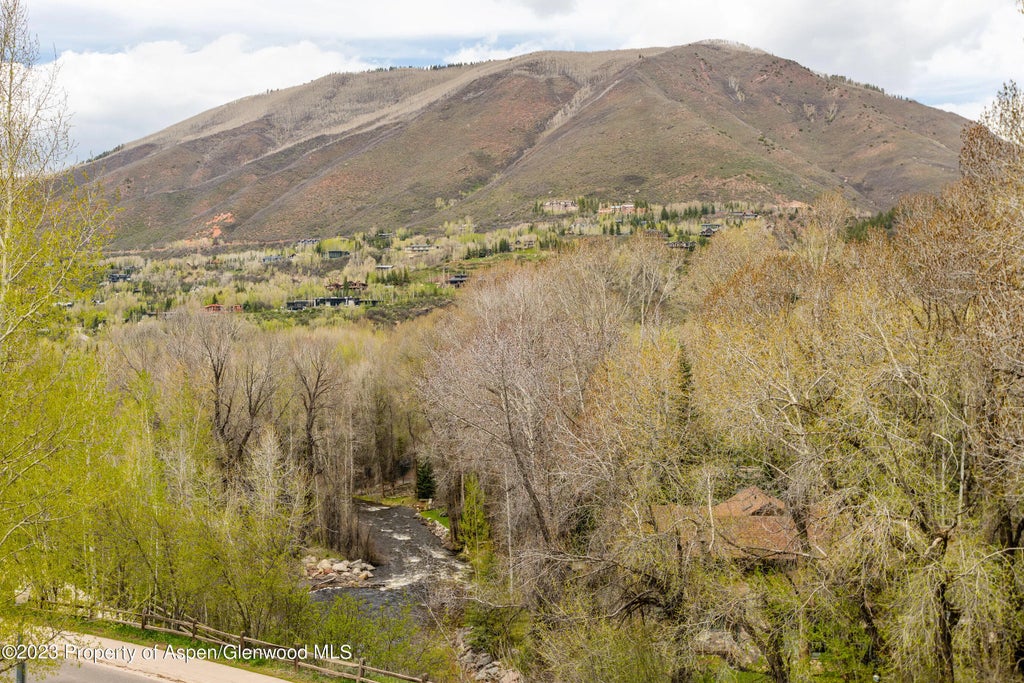 22 of 27 - 101 N Spring Street 302, Aspen, CO