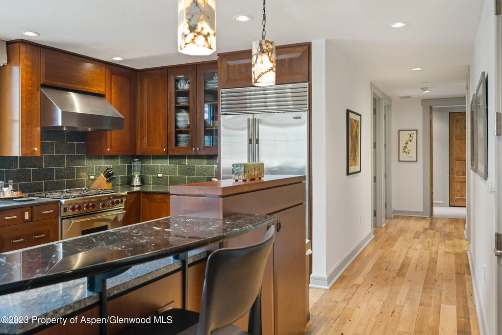 8 of 27 - 101 N Spring Street 302, Aspen, CO