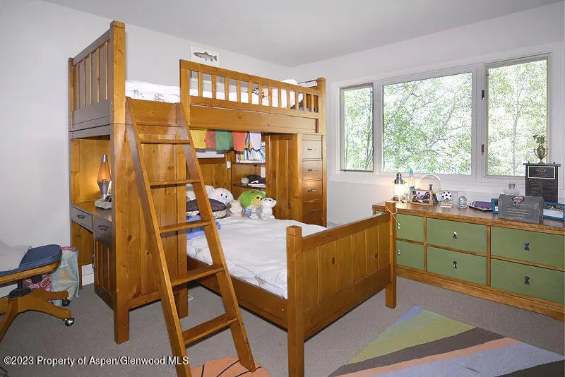 13 of 14 - 309 Mountain Laurel Drive, Aspen, CO