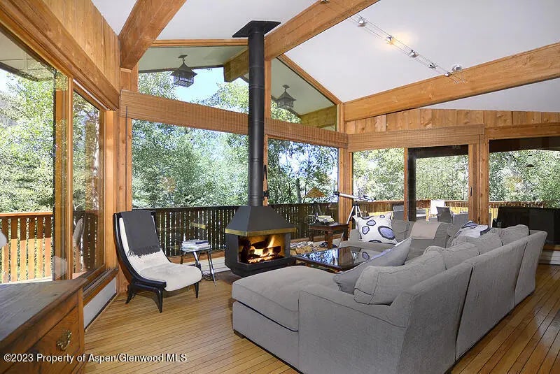 3 of 14 - 309 Mountain Laurel Drive, Aspen, CO