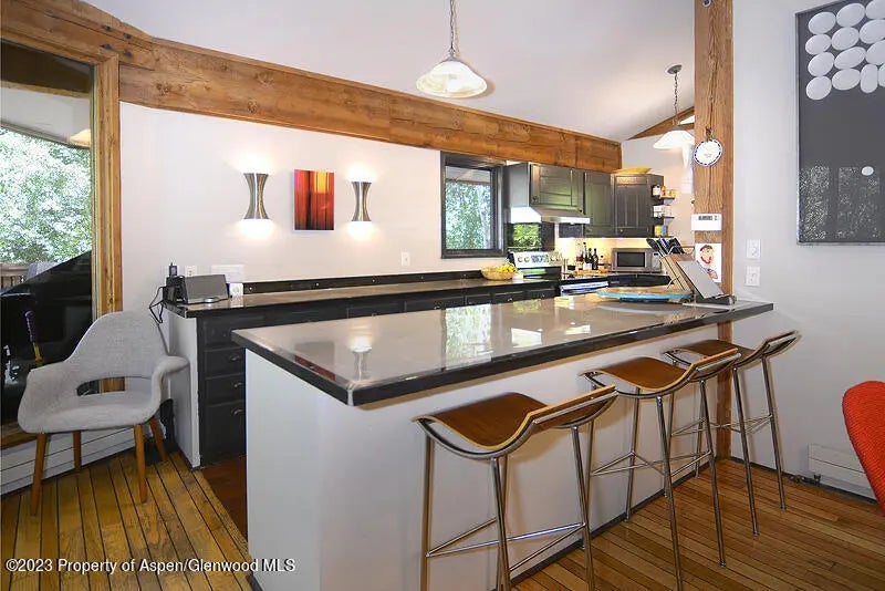 6 of 14 - 309 Mountain Laurel Drive, Aspen, CO
