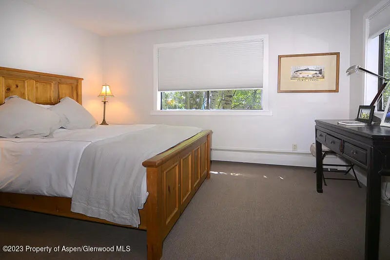 9 of 14 - 309 Mountain Laurel Drive, Aspen, CO