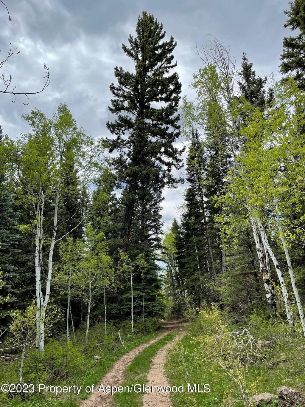 10 of 85 - Tbd Black Diamond Mine Road, Glenwood Springs, CO