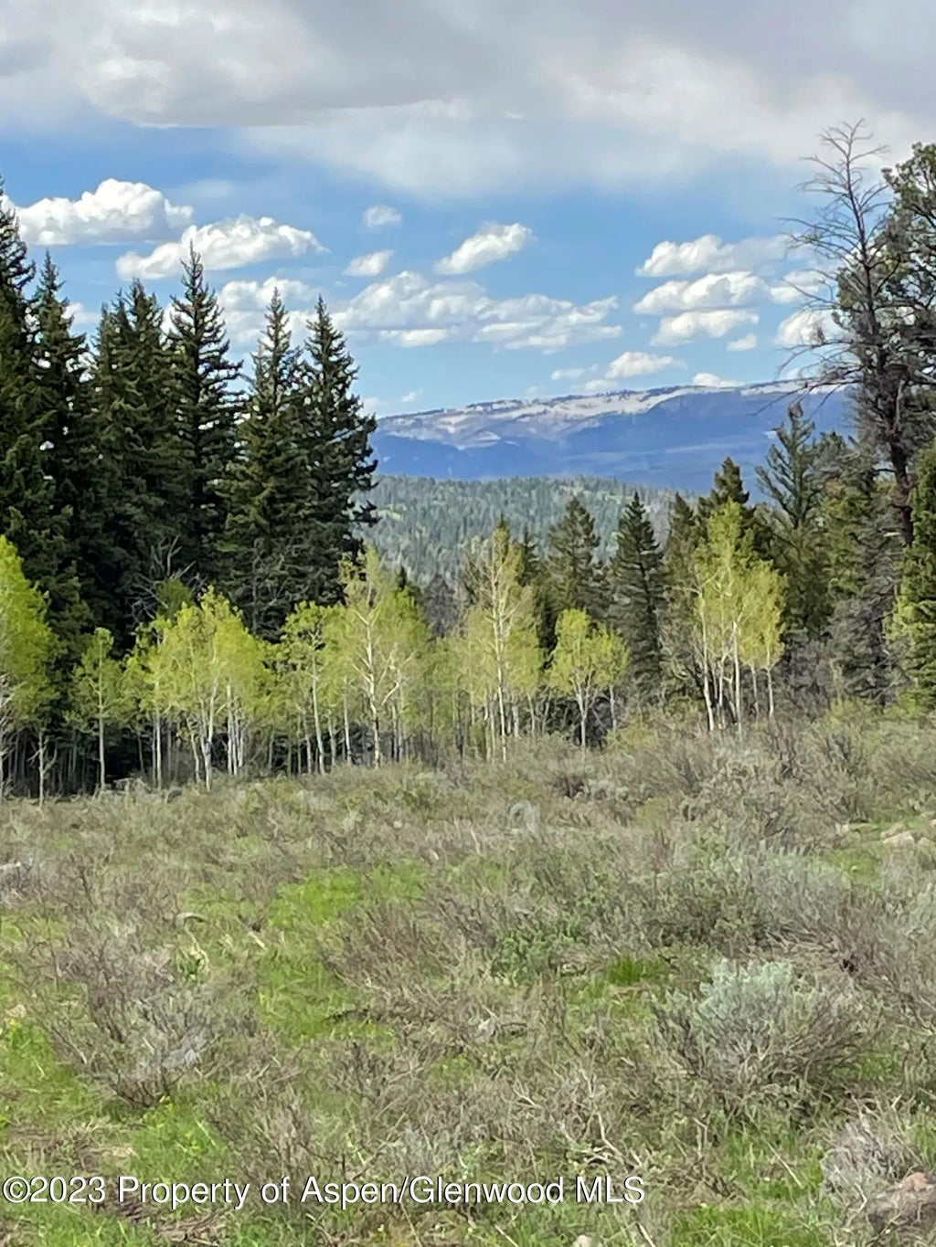 11 of 85 - Tbd Black Diamond Mine Road, Glenwood Springs, CO