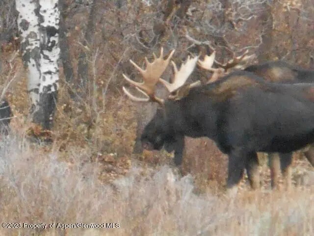 14 of 85 - Tbd Black Diamond Mine Road, Glenwood Springs, CO