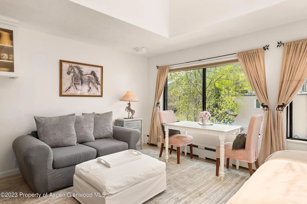 1 of 9 - 725 E Main Street #305, Aspen, CO