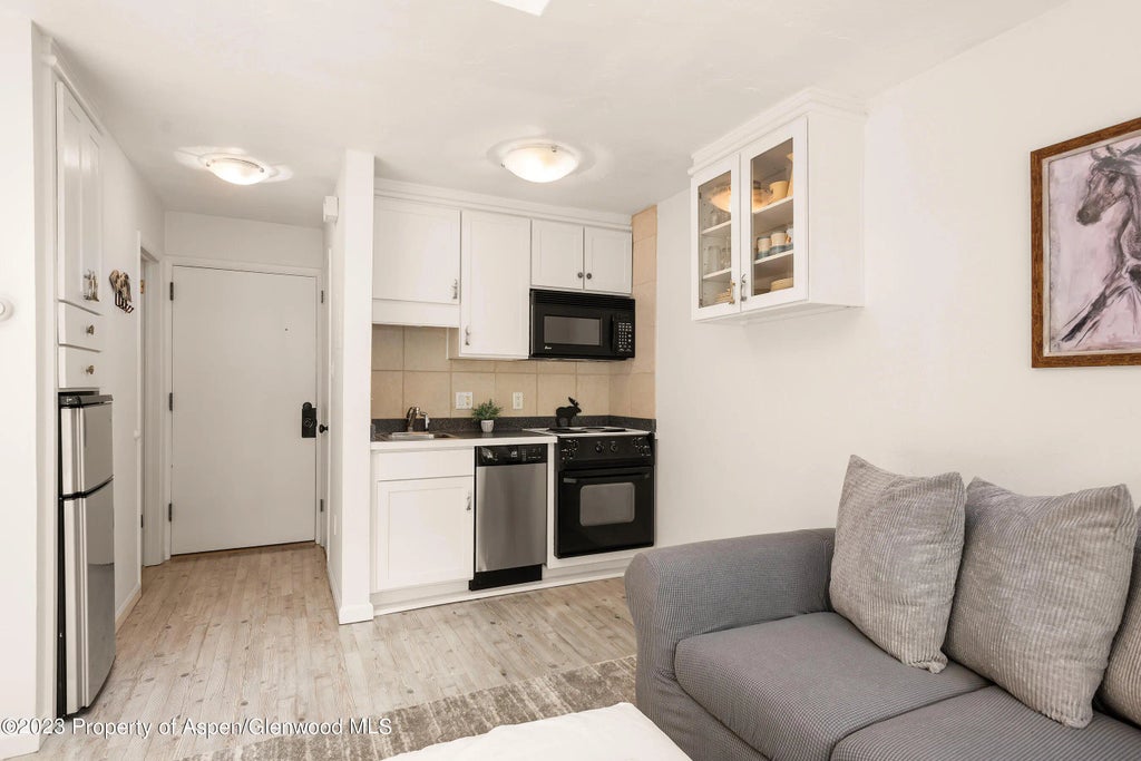 4 of 9 - 725 E Main Street #305, Aspen, CO